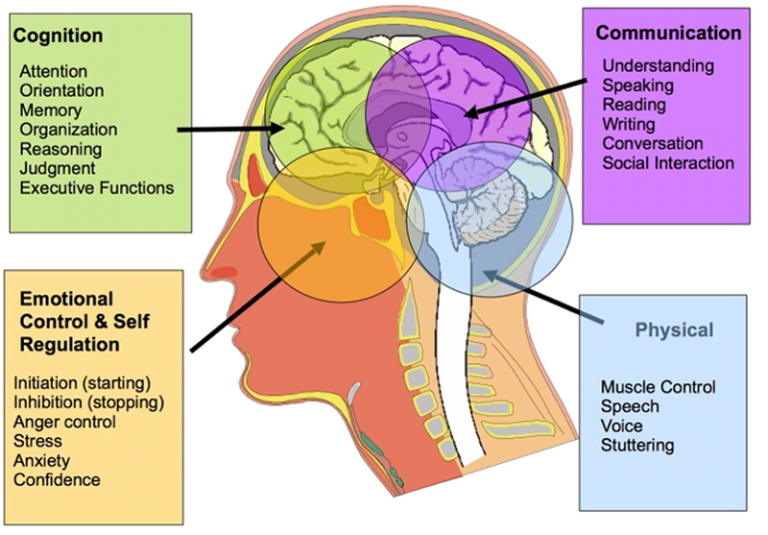 Cognitive Communication Neuro Rehab Group