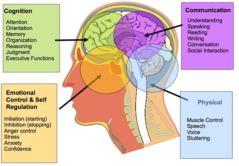 Cognitive Communication Neuro Rehab Group